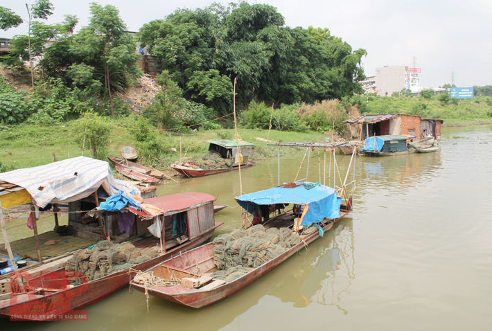 Tăng cường công tác đảm bảo trật tự, an toàn giao thông đường bộ, đường thủy nội địa trên địa bàn tỉnh