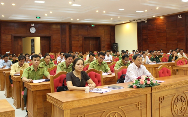 Sơ kết công tác quản lý, bảo vệ và phát triển rừng 7 tháng đầu năm 2016