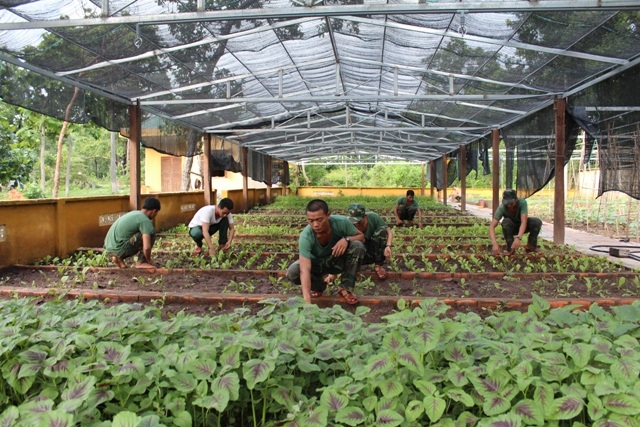 Đồn Biên phòng Sêrêpôk tích cực tăng gia sản xuất, cải thiện đời sống bộ đội