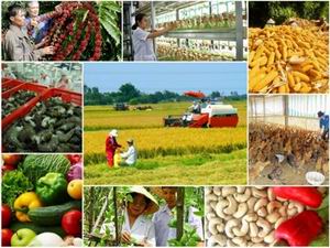 Kế hoạch sản xuất giảm phát thải lĩnh vực trồng trọt giai đoạn 2026-2035, tầm nhìn đến 2050 trên địa bàn tỉnh Đắk Lắk