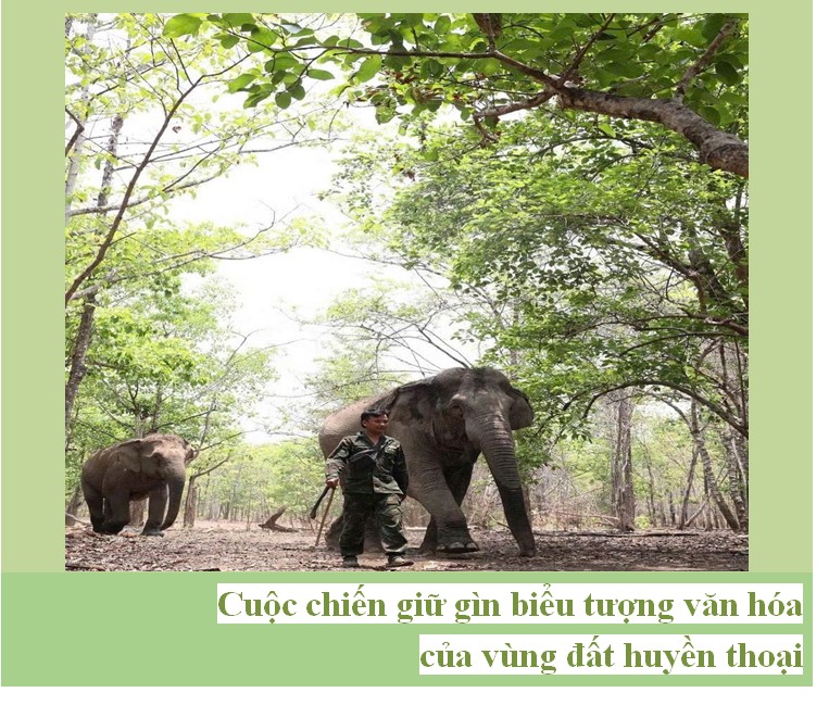 Thông tin báo chí ngày 05/5/2026.