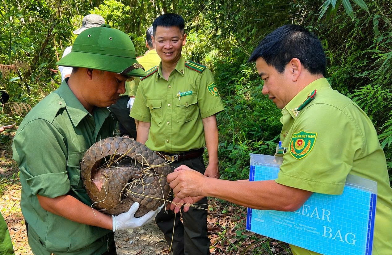Tiến hành thả 5 cá thể động vật hoang dã quý hiếm về rừng tự nhiên
