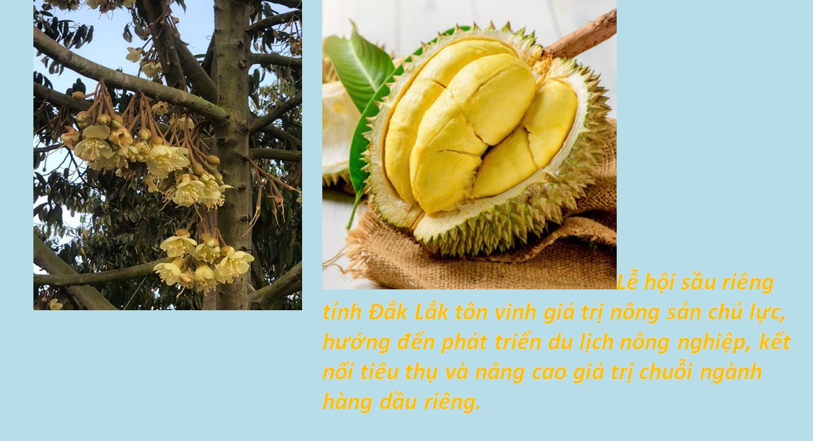 Thông tin báo chí ngày 25/5/2026.