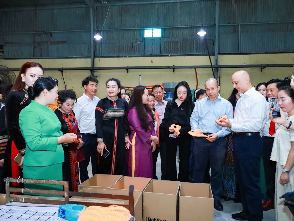 Phối hợp triển khai chương trình khảo sát 