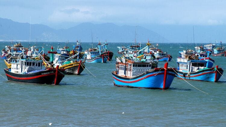Công bố dữ liệu tàu cá và nuôi trồng thủy sản, hướng dẫn kết nối, khai thác sử dụng dữ liệu tàu cá và nuôi trồng thủy sản thay thế giấy tờ trong giải quyết thủ tục hành chính