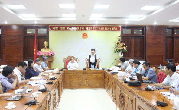 Đoàn công tác Bộ Y tế làm việc với UBND tỉnh về phòng, chống sốt xuất huyết, Zika