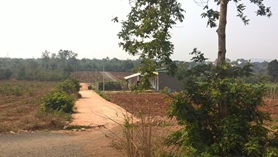 Xử lý đơn của công dân Phan Xuân Nam và Bùi Thị Thanh Xuân