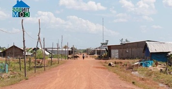 UBND tỉnh trả lời nội dung khởi kiện của ông Nguyễn Đức Chinh, bà Lô Thị Bằng tại huyện Ea Súp.