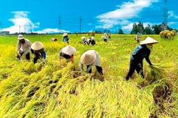Báo cáo kết quả thực hiện kế hoạch phát triển kinh tế - xã hội, đảm bảo an ninh quốc phòng 9 tháng đầu năm và nhiệm vụ trọng tâm các tháng cuối năm
