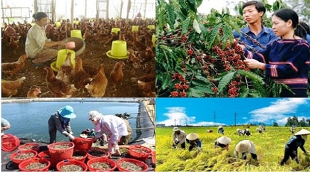 Thông báo danh mục một số văn bản của Trung ương và địa phương về cơ chế, chính sách, hướng dẫn hỗ trợ đầu tư vào lĩnh vực nông nghiệp và phát triển nông thôn