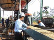 Ban hành Kế hoạch thực hiện Nghị quyết số 02/2016/NQ-HĐND của HĐND tỉnh về phát triển kinh tế tập thể tỉnh Đắk Lắk giai đoạn 2016-2020