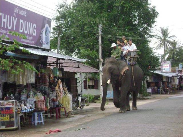 Lúc lắc du lịch cưỡi voi
