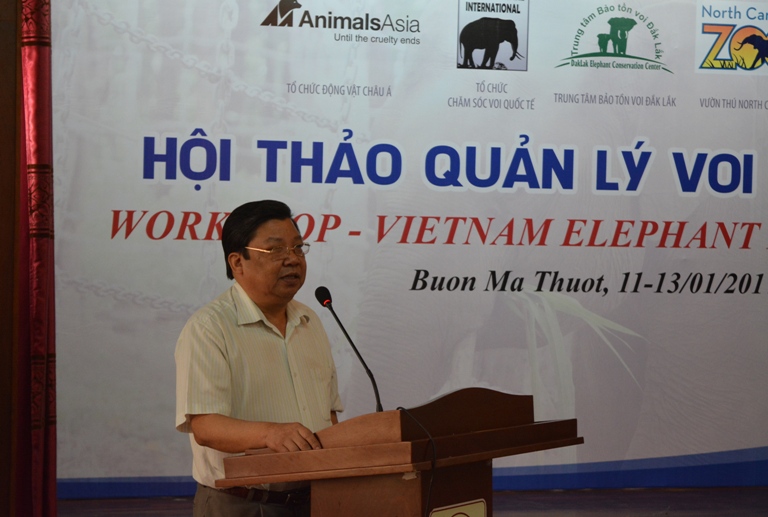 Thảo luận các giải pháp quản lý, bảo tồn voi Việt Nam.