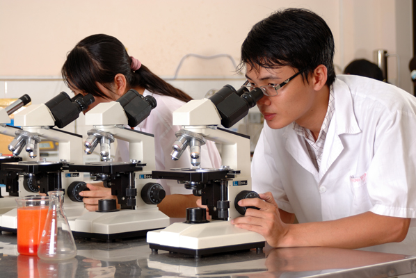 Báo cáo năm 2016 về tình hình thực hiện chiến lược phát triển khoa học và công nghệ giai đoạn 2011 – 2020.