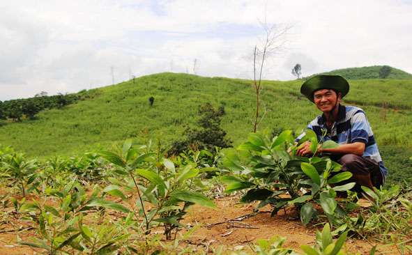Triển khai thực hiện Quyết định số 38/2016/QĐ-TTg ngày 14/9/2016 của Thủ tướng Chính phủ.