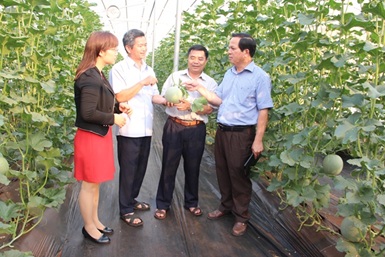 Thúc đẩy hợp tác với các đối tác nước ngoài