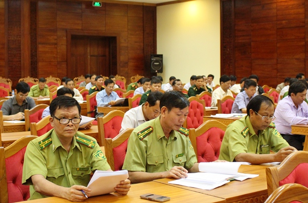 Năm 2017, toàn tỉnh phấn đấu trồng 4.883 ha rừng.