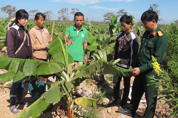 Đổi thay ở vùng biên