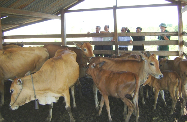 Ngân hàng Nhà nước đề xuất ký Hiệp định vay cho Dự án “Hỗ trợ phát triển khu vực biên giới” với ADB