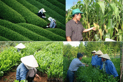 Kết luận của đồng chí Nguyễn Tuấn Hà – Phó Chủ tịch UBND tỉnh tại cuộc họp Ban Đổi mới và Phát triển doanh nghiệp tỉnh