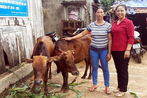 Thành phố Buôn Ma Thuột, phấn đấu giảm tỷ lệ hộ nghèo, hộ cận nghèo từ 0,5 trở lên/tổng số hộ dân