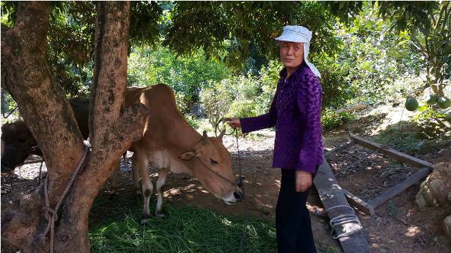 Sức bật từ vốn vay của Ngân hàng Chính sách xã hội