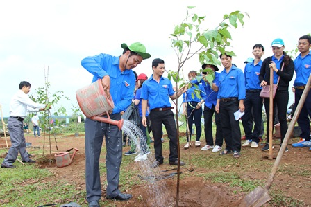 Trồng hàng nghìn cây xanh nhân dịp sinh nhật Bác Hồ