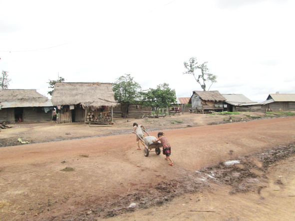 Báo cáo kết quả thực hiện vốn sự nghiệp kinh tế năm 2016 và kế hoạch năm 2017 thuộc Chương trình bố trí dân cư.