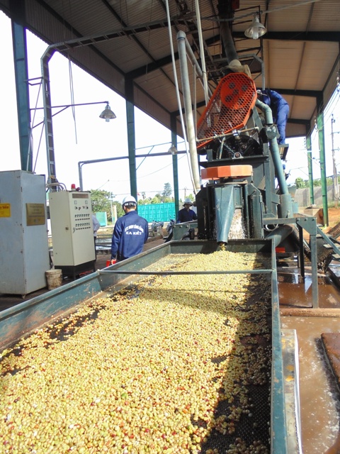 Sơ kết thi hành Luật Hợp tác xã năm 2012