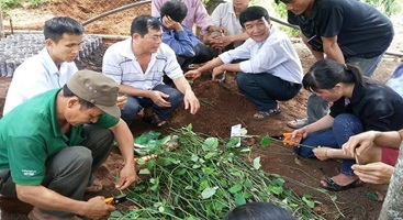 Thực hiện đào tạo nghề nông nghiệp cho lao động nông thôn năm 2017 và giai đoạn 2016- 2020