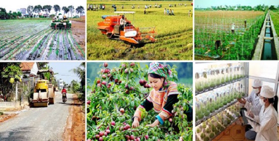 Triển khai thực hiện Chỉ thị số 24/CT-TTg ngày 02/6/2017 của Thủ tướng Chính phủ.