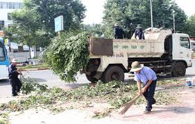 Kế hoạch triển khai thực hiện Chỉ thị của Thủ tướng Chính phủ và Nghị quyết của Tỉnh ủy về tăng cường công tác bảo vệ môi trường trên địa bàn tỉnh.