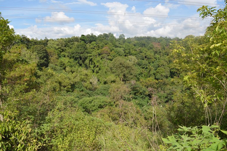 Điều chỉnh quy hoạch sử dụng đất đến năm 2020 và Kế hoạch sử dụng đất kỳ cuối (2016 - 2020) của tỉnh Đắk Lắk.