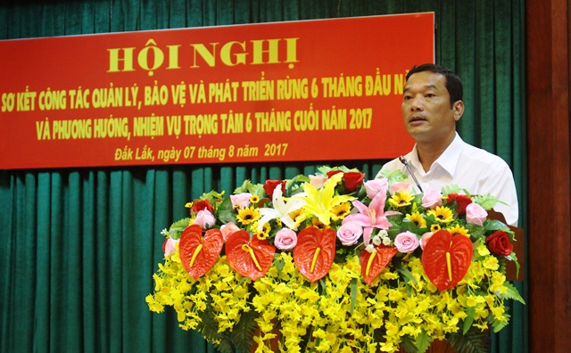 Triển khai công tác quản lý, bảo vệ, phát triển rừng những tháng cuối năm 2017