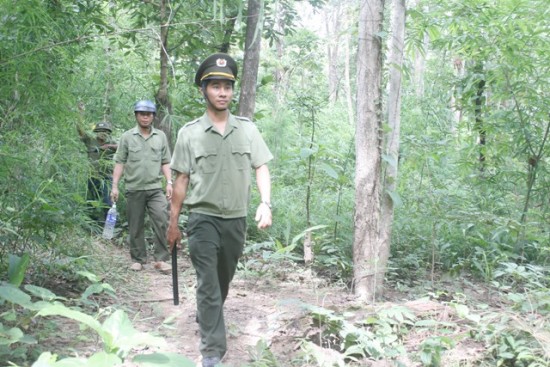 Báo cáo kết quả triển khai thực hiện Nghị định số 118/2014/NĐ-CP ngày 17/12/2014 của Chính phủ trên địa bàn tỉnh.