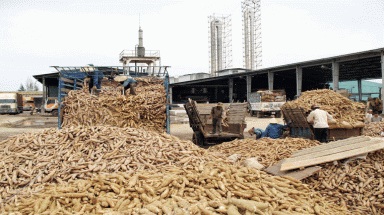 Bổ sung dự án Nhà máy chế biến tinh bột sắn tại huyện Krông Bông vào Quy hoạch tổng thể phát triển công nghiệp tỉnh Đắk Lắk