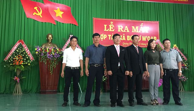 Huyện Cư M’gar: Ra mắt Hợp tác xã bơ Cư M’gar