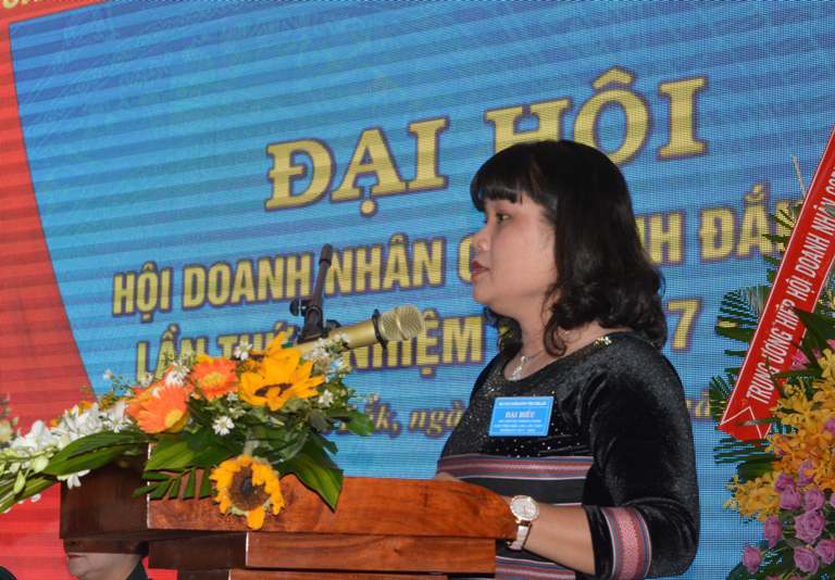 Đại hội Hội Doanh nhân Cựu chiến binh tỉnh lần thứ I, nhiệm kỳ 2017 – 2022.