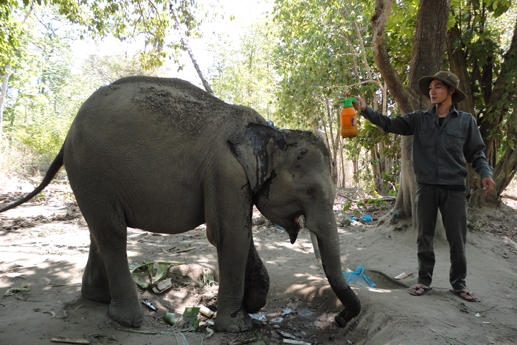 Báo cáo tình hình thực hiện Luật Đa dạng sinh học năm 2008 trên địa bàn tỉnh Đắk Lắk