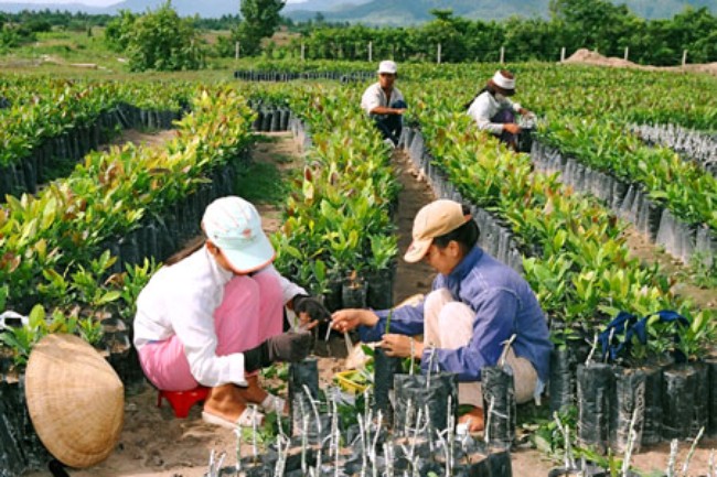 Kế hoạch phát triển kinh tế tập thể tỉnh năm 2018
