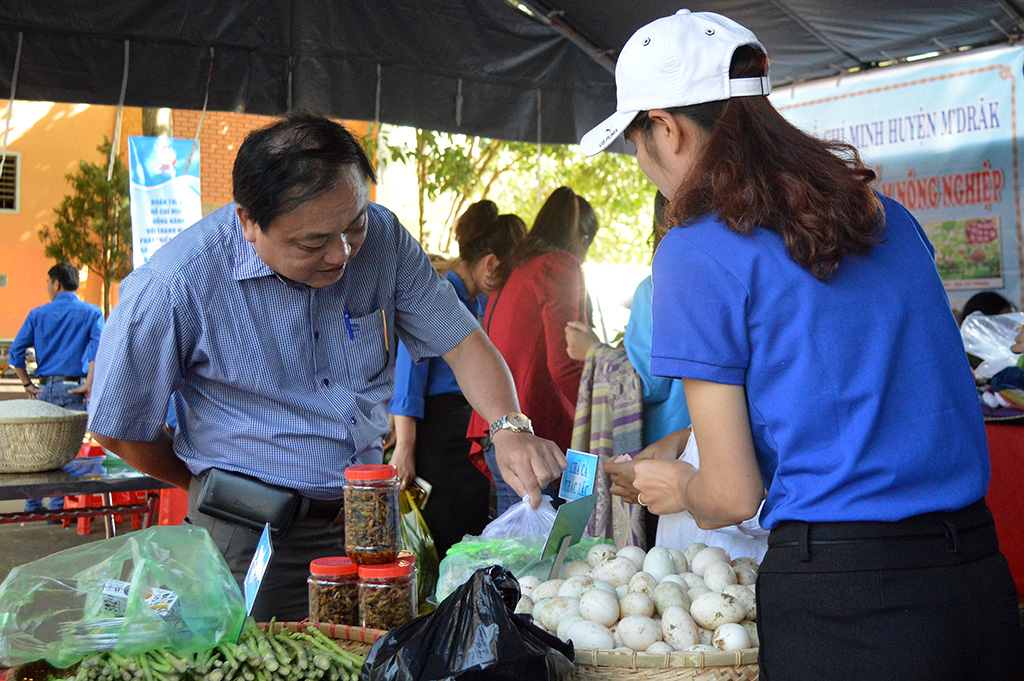 Khai mạc Ngày hội thanh niên nông thôn và tuyên dương các mô hình thanh niên làm kinh tế giỏi tỉnh Đắk Lắk năm 2017
