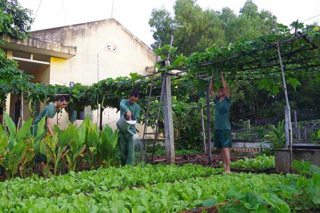 Mô hình Vườn ao chuồng tại Đồn Biên phòng Ia Rvê