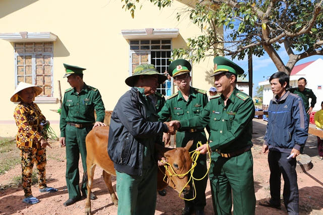 Trao tặng bò giống cho các hộ nghèo khu vực biên giới tỉnh Đắk Lắk