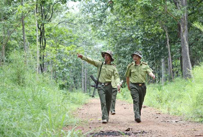 Kiểm tra việc thi công dự án đường tuần tra Biên giới tỉnh Đắk Lắk, Đắk Nông có liên quan đến rừng và đất rừng