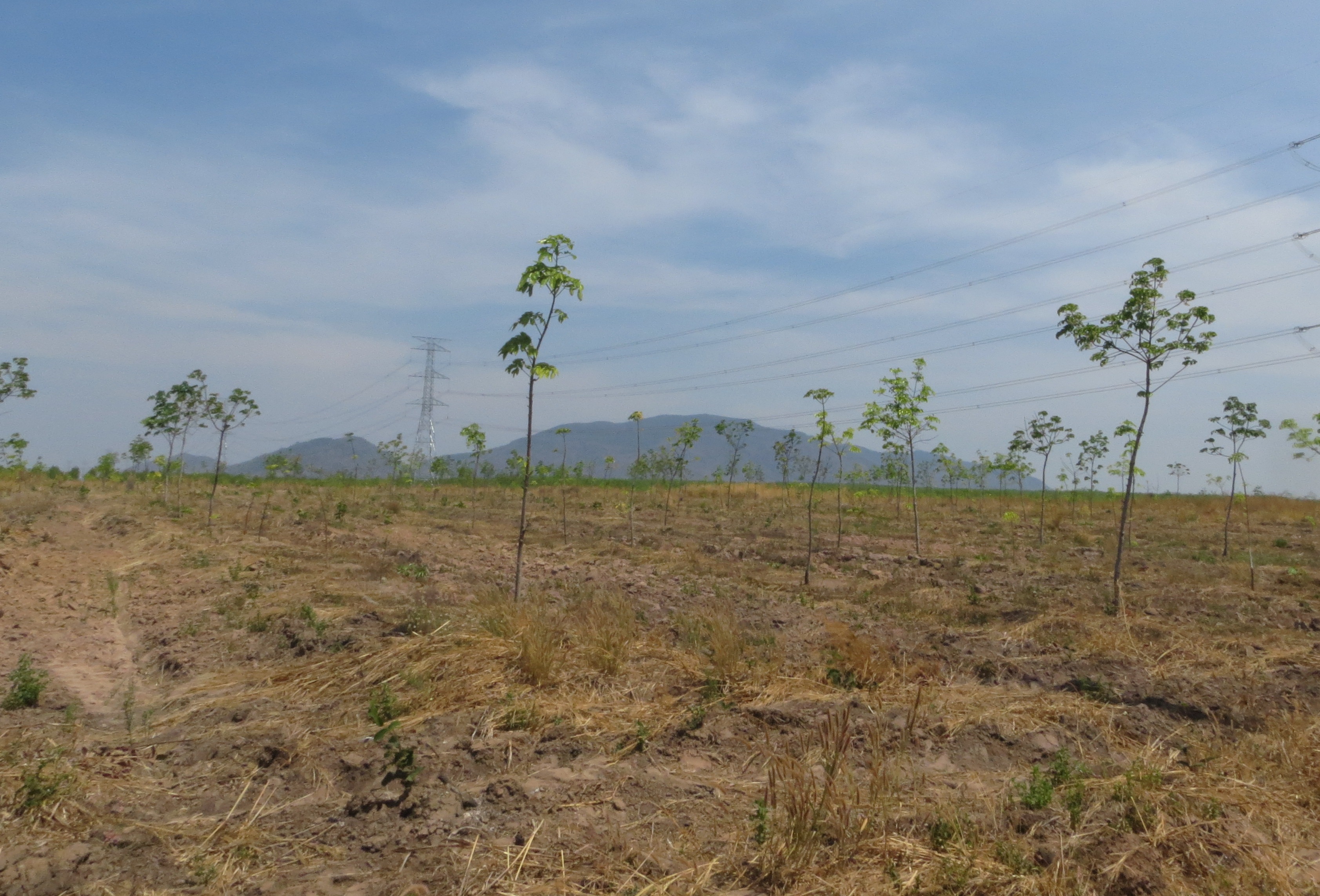 Phê duyệt Kế hoạch sử dụng đất năm 2018 tại huyện Ea Súp.