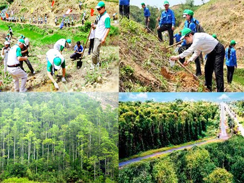 Triển khai thực hiện Thông tư của Bộ Nông nghiệp và Phát triển nông thôn