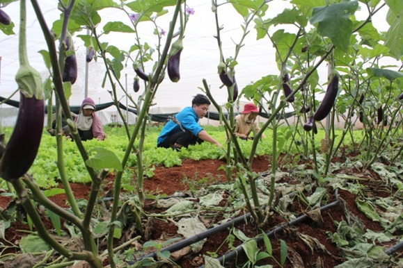 Mô hình khởi nghiệp của đôi bạn thế hệ 9X