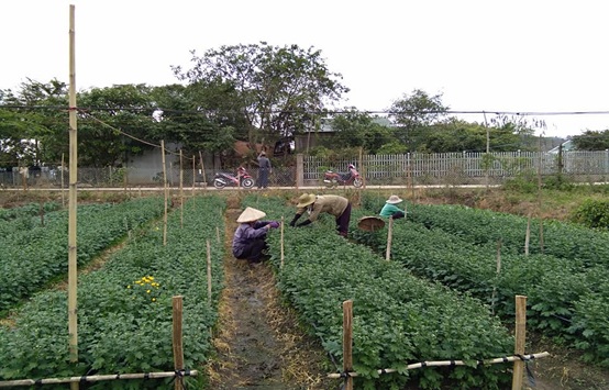 Hòa Hiệp cán đích nông thôn mới