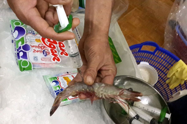 Đẩy mạnh triển khai Đề án kiểm soát ngăn chặn hành vi vi phạm trong sản xuất, kinh doanh tôm nguyên liệu