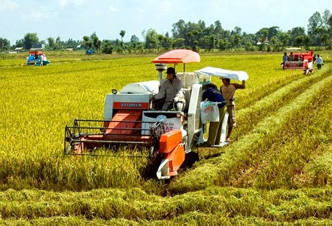 Tiếp tục thực hiện chính sách hỗ trợ nhằm giảm tổn thất trong nông nghiệp